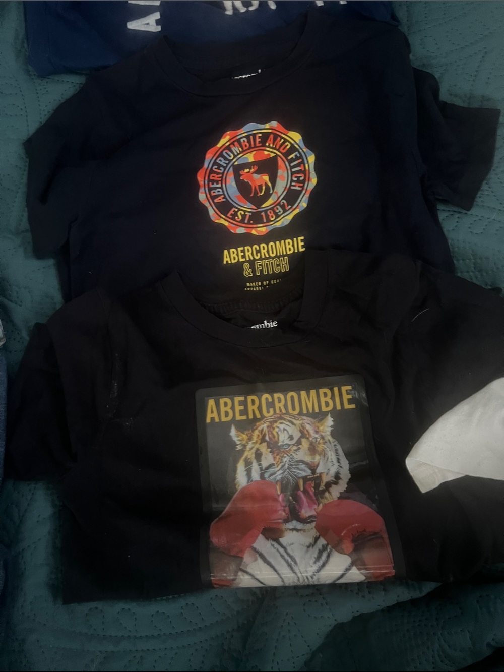 Abercrombie Kids Black Logo Graphic Tee - Tiger & Crest Designs